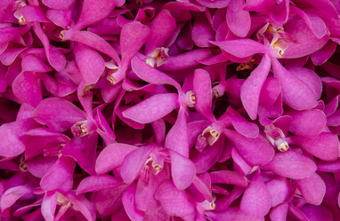 Similar image 8650319