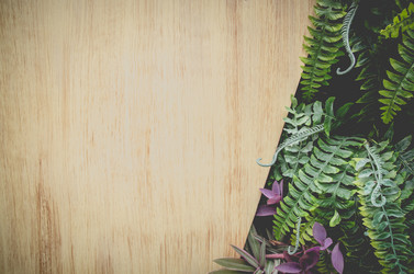 Similar image 8650326