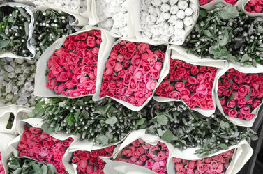 Similar image 8650327