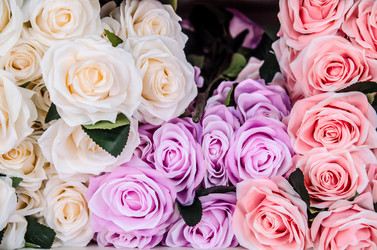 Similar image 8650330