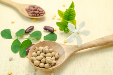 Similar image 8650332