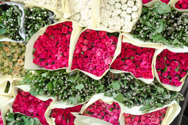 Similar image 8650334