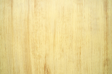 Similar image 8650339