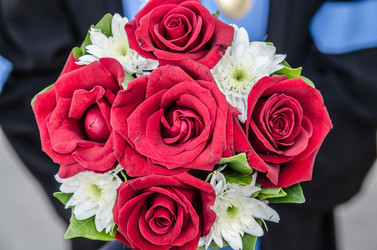 Similar image 8650344