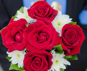 Similar image 8650352