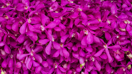 Similar image 8650353