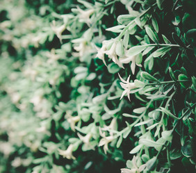 Similar image 8650358