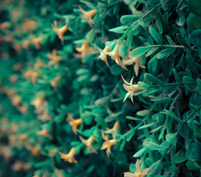 Similar image 8650363