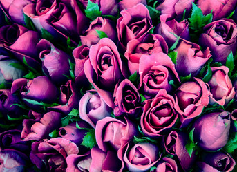 Similar image 8650365