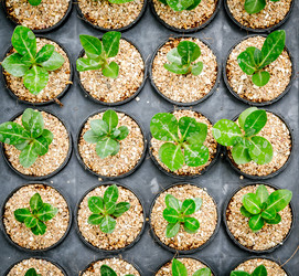 Similar image 8650367