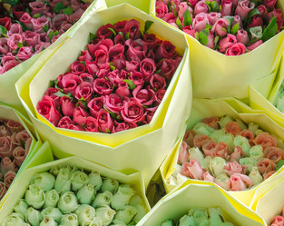 Similar image 8650368