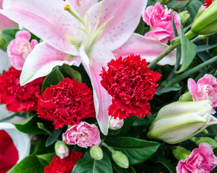 Similar image 8650369