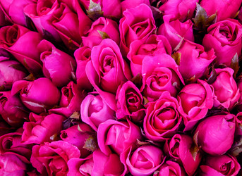 Similar image 8650372