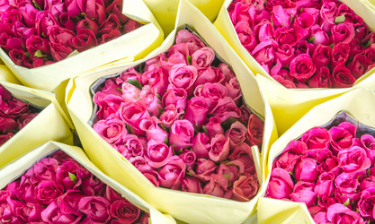 Similar image 8650378