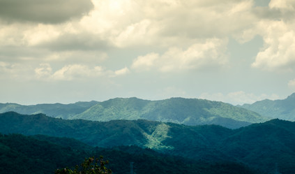 Similar image 8650380