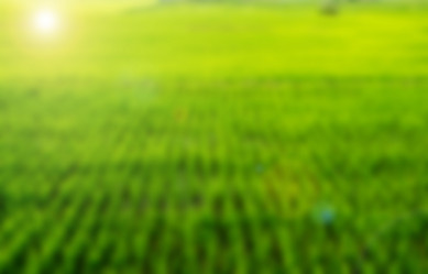 Similar image 8650382