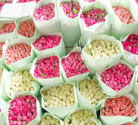 Similar image 8650386