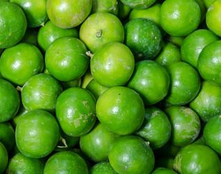 Similar image 8650397