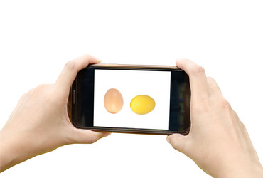 Similar image 8650403