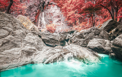 Similar image 8650410