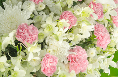 Similar image 8650414