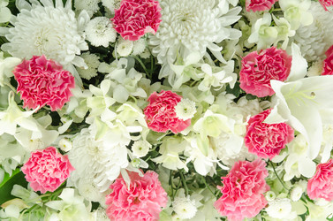 Similar image 8650415