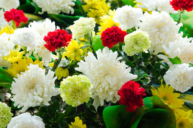 Similar image 8650416