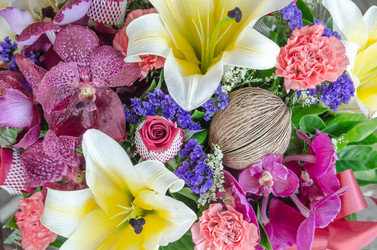 Similar image 8650419