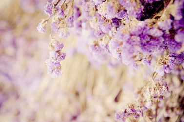 Similar image 8650420