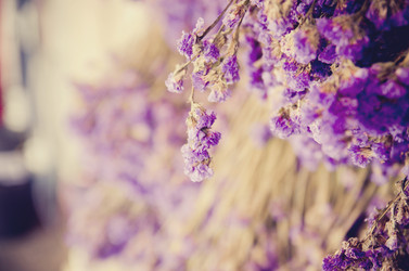 Similar image 8650436