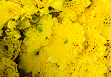 Similar image 8650437