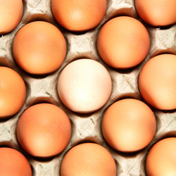 Similar image 8650661