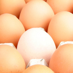 Similar image 8650662