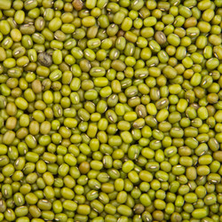 Similar image 8650677