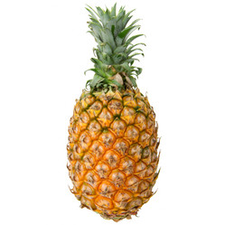 Similar image 8650688