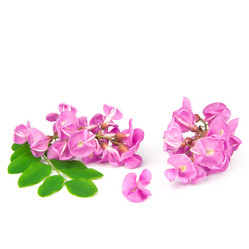 Similar image 8650710