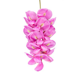 Similar image 8650711