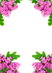 Similar image 8650712