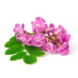 Similar image 8650714