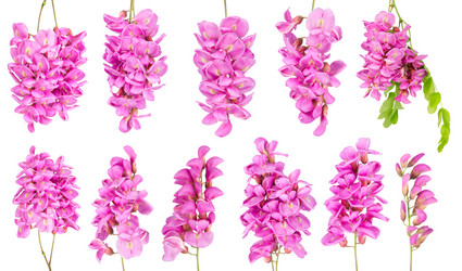 Similar image 8650716