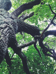 Similar image 8651055