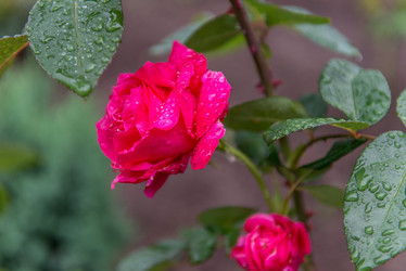 Similar image 8651087