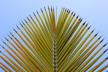 Similar image 8651132