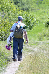 Similar image 8651146