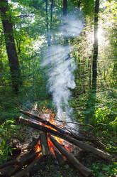 Similar image 8651147