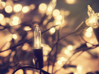 Similar image 8651219