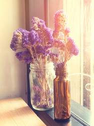 Similar image 8651223