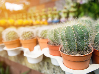 Similar image 8651224