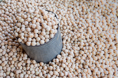 Similar image 8651226