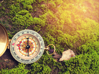 Similar image 8651233